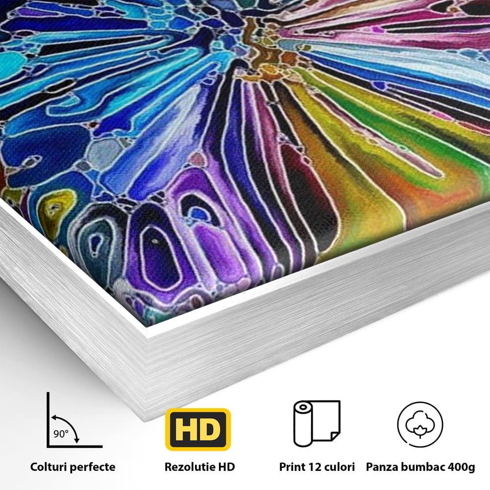 Detaliu al suprafetei: tablou canvas cu fluture mozaic multicolor, in rama de aluminiu argintiu